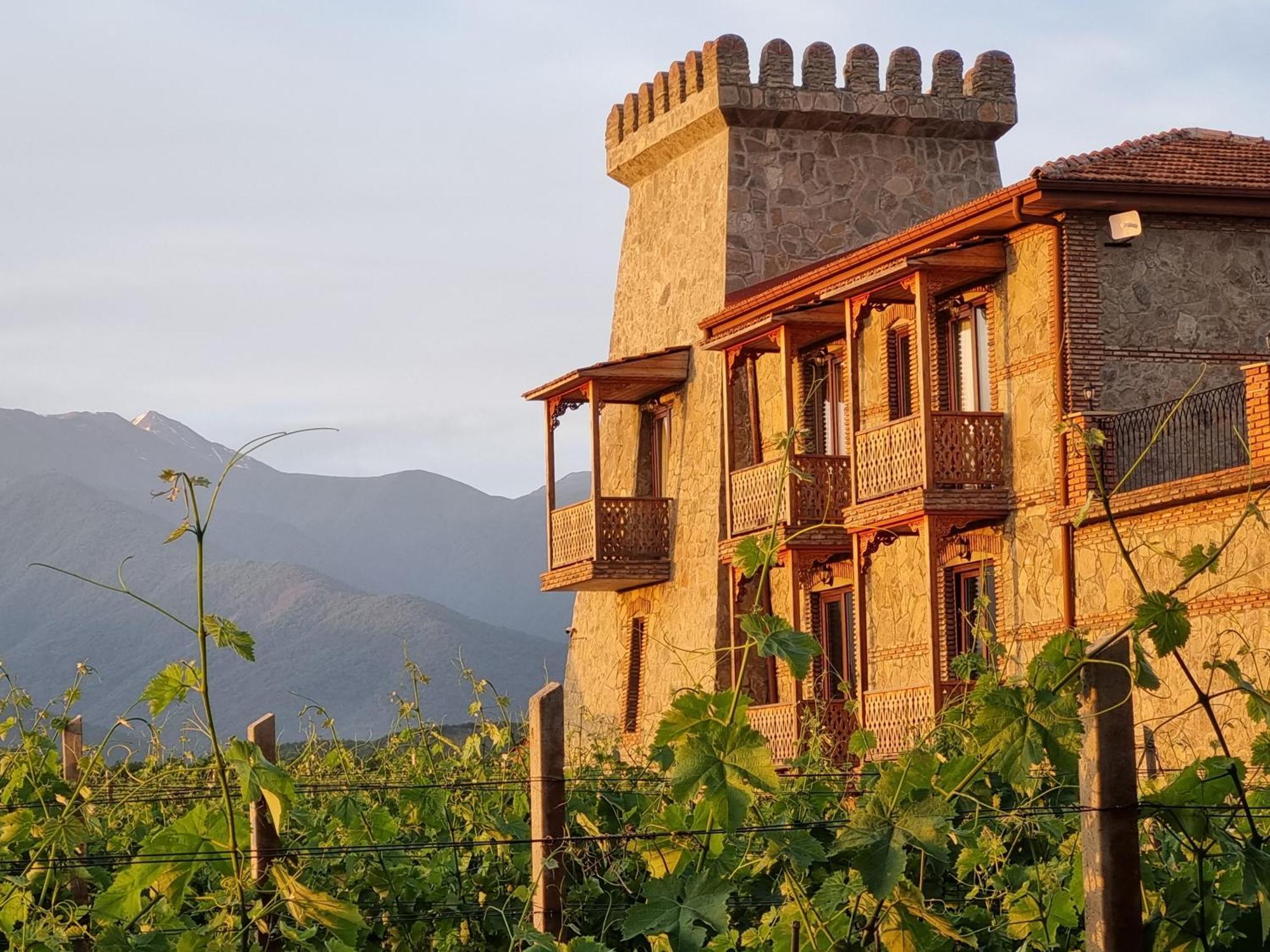Chateau Davitiani Shilda Exterior photo